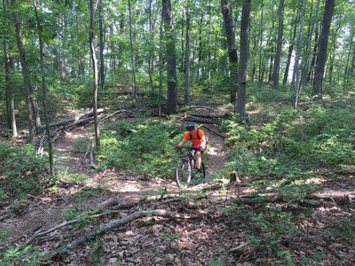 Small Intestine is a welcome break with nice fast non-technical singletrack with gems like this small cork-screw scattered about.