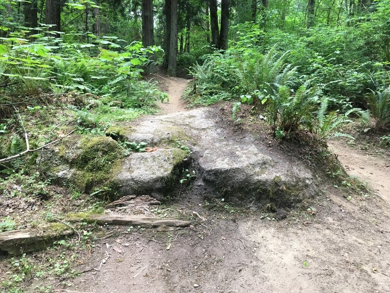 Nice boulder feature on Bear Way.