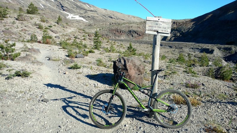 Ape Canyon and June Lake Trail junction--go right to Abrams.