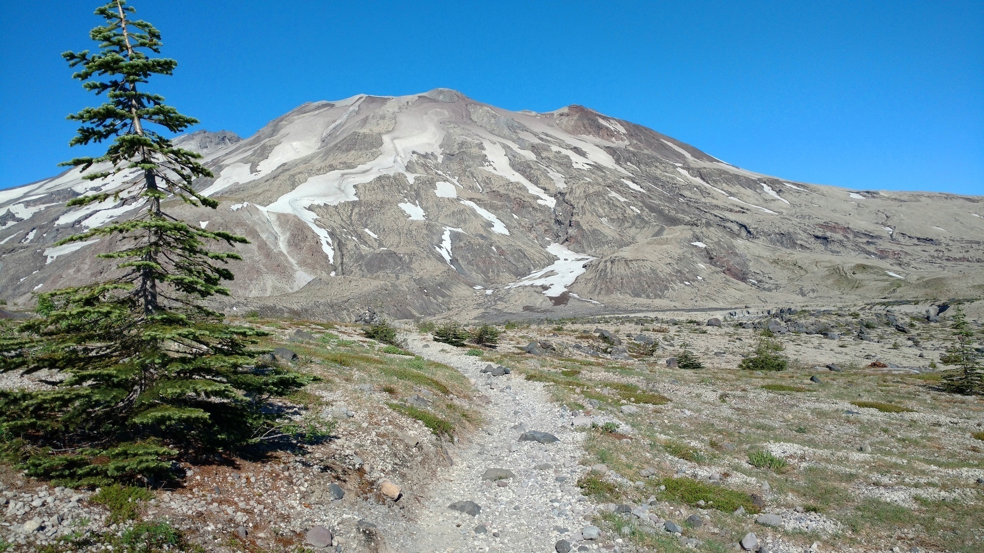 Mt. St. Helens on the way back from Abrams to Ape Canyon.