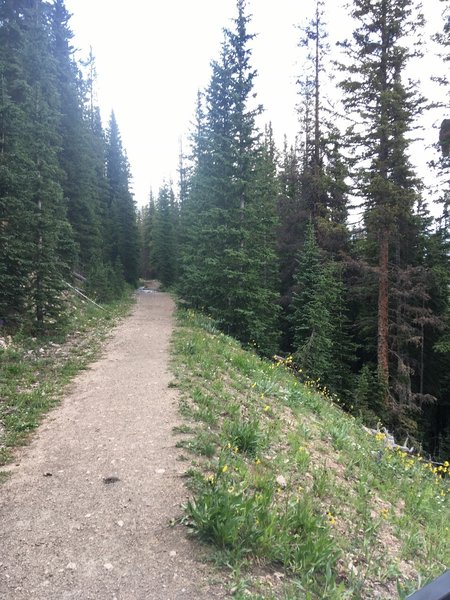 Super old railroad trail.