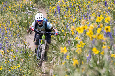Amazing wildflowers on the lower part of Teocalli Ridge.