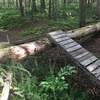 Ladder bridge over large pine tree blow-down at junction of Red Trail and unblazed trail from Highway 85.