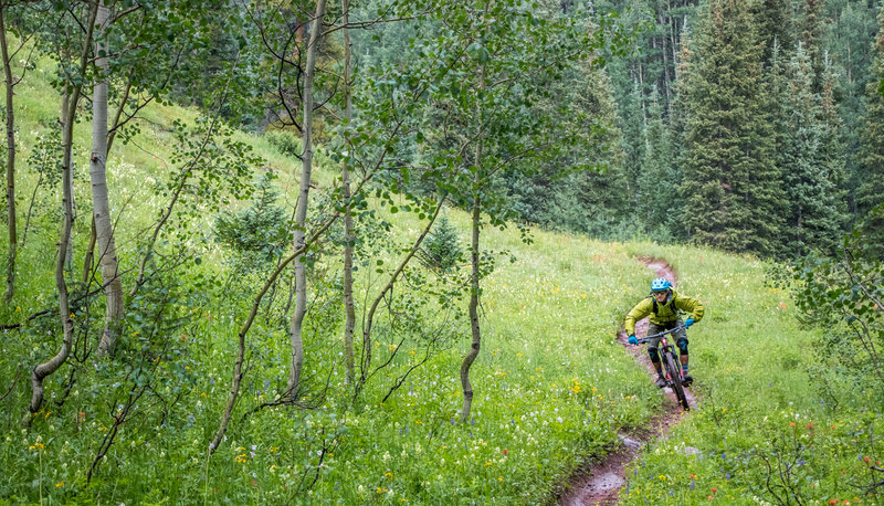 The descent down Block and Tackle is definitely worth the pain of the climb!