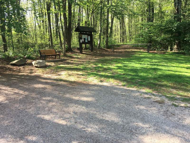 Start of White Trail. Summer parking lot.