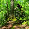 Pocahontas trail to Eagle Camp. Mountain man photo by Mike Boyes.