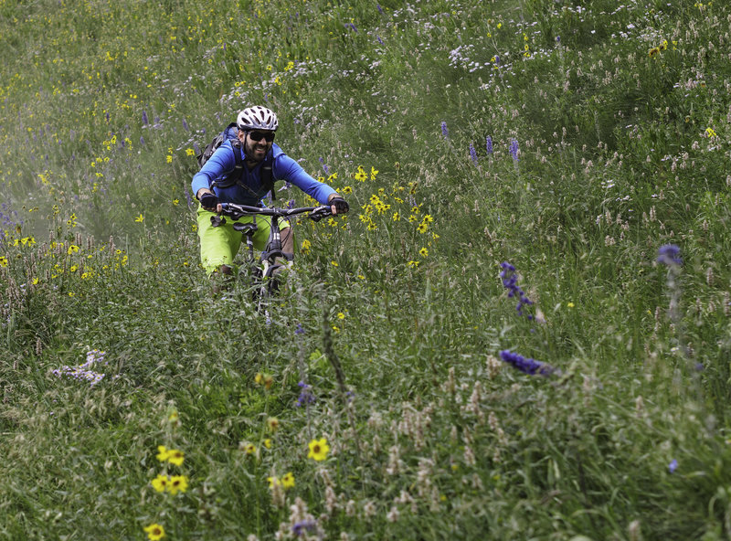 The steep and often dry meadow finish to Teocalli's downhill portion.