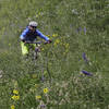 The steep and often dry meadow finish to Teocalli's downhill portion.