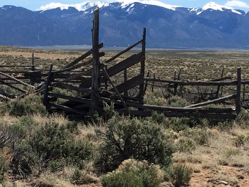 Old Cattle Chute.