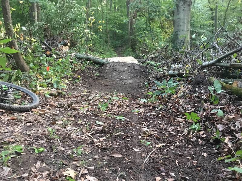 Orange Trail - Table Top.