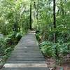 Lots of these bridges on the Tophet Swamp trails.