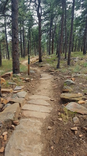 One mile from the trailhead, nice flow through open forest.