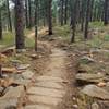 One mile from the trailhead, nice flow through open forest.