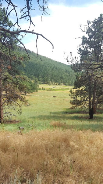 Great view across the meadow on the lower end of the trail.