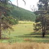 Great view across the meadow on the lower end of the trail.