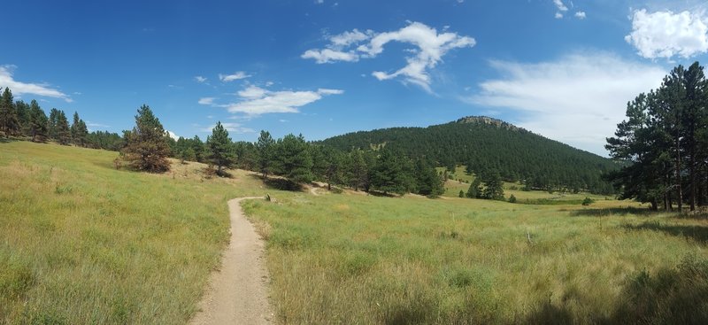 Crossing the meadow in mid summer.