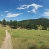 Crossing the meadow in mid summer.