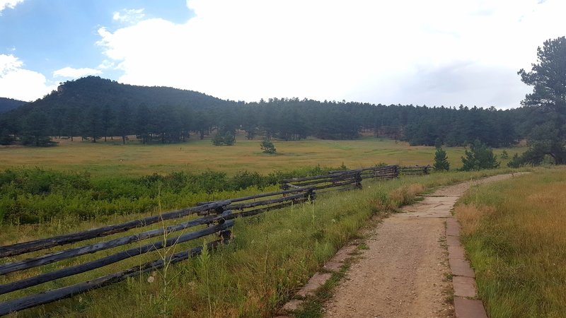 Once you leave the access road, the singletrack starts out flat and wide.