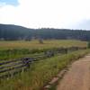 Once you leave the access road, the singletrack starts out flat and wide.