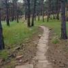 Abundant use of sandstone "pavers" makes for a solid trail.