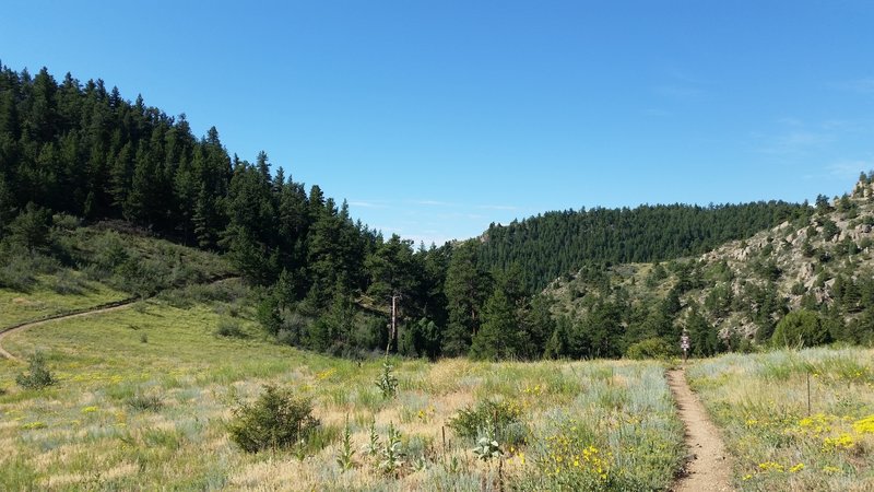 South intersection of Travois Trail and the Evening Sun Loop.