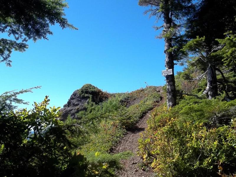 Short plunge on the Mt. Muller hogback.