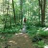 Who Doesn't Like a Narrow Bridge Through The Swamp?