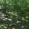 Riding down the Old Farm Trail.