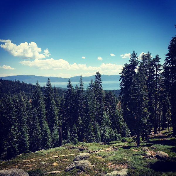 Beautiful View of Lake Tahoe from the Trail