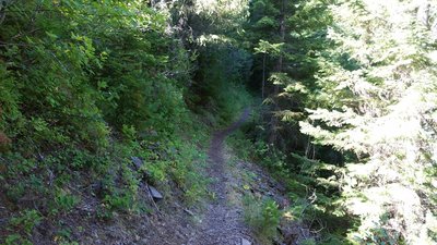 Lots of fun, tight singletrack