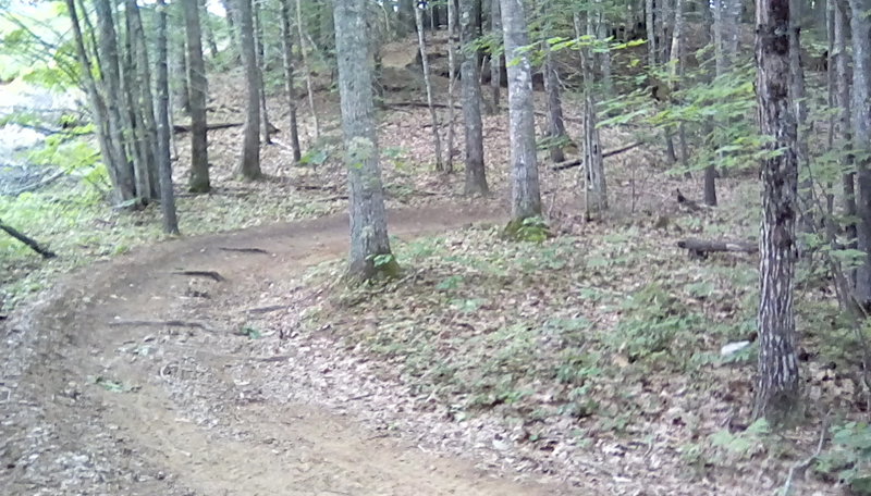 The Cross Topsham Trail as it switchbacks its way up a hill near Foreside Road.