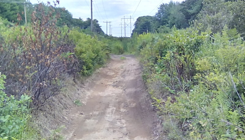 The Cross Topsham Trail on the eastside of town.