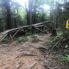 The fun and challenging teeter-totter with a ride-around to the right.