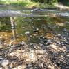 Menomonee River alongside trail