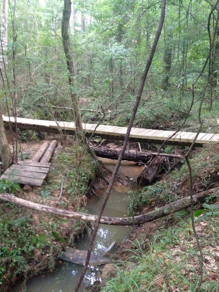 This is the new Ewok bridge. There used to be two bridges, one on each side of the tree area in the middle.  But a flash flood washed out the land between the two bridges....so now a new 32' long bridge that keeps your speed.