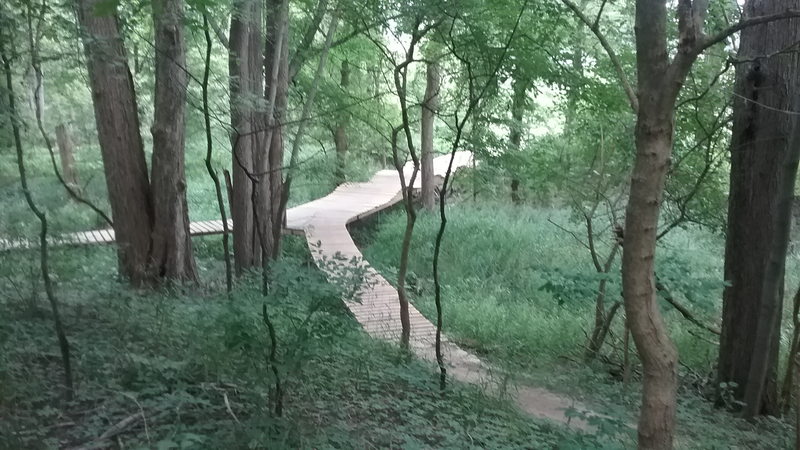 Top view of the Blazing Star bridge.