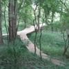 Top view of the Blazing Star bridge.