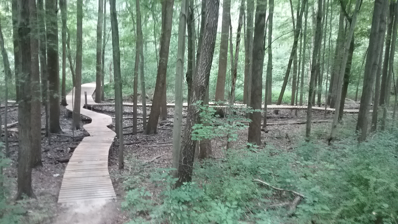 Bridge on Hognose Snake Loop.