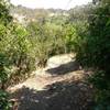 A steep section of Olmsted Creek Trail.