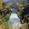 The Mokihinui Gorge from the old benched track which forms part of the Old Ghost Road.