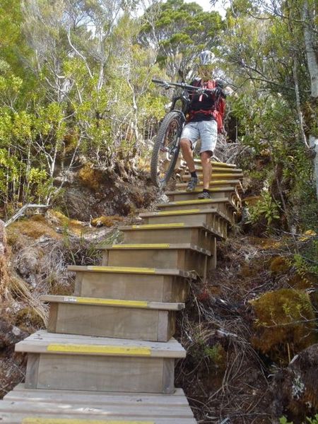 The Skyline Steps.