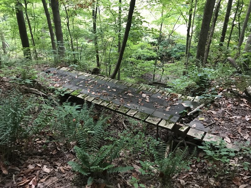 Abandoned bridge off of trail.