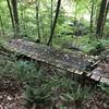 Abandoned bridge off of trail.