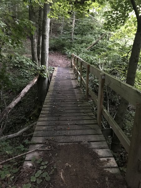 Bridge on Dark Hollows trail.