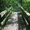 Bridge on Kroger Wetlands trail.