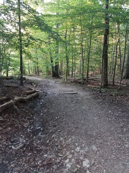 Tobacco barn trail