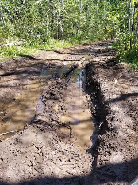 Deep ruts on Hodges Canyon trail near Bear Lake, Utah.