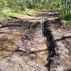 Deep ruts on Hodges Canyon trail near Bear Lake, Utah.