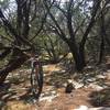 Lemon Ridge Trail - taking a break after a rocky climb