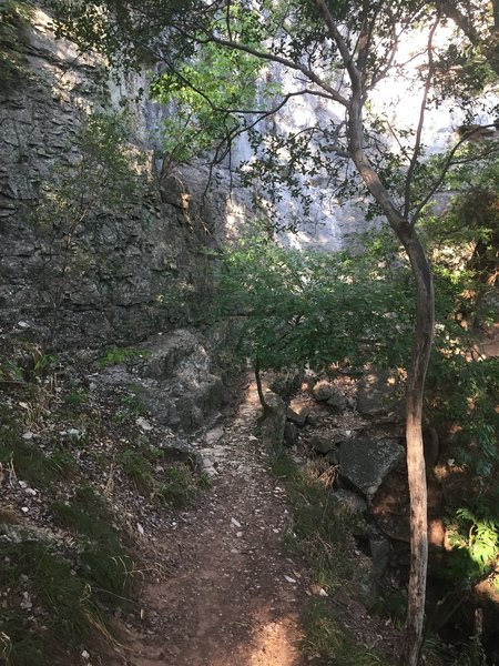 Very narrow trail around Gorman Cave - must walk your bike through here
